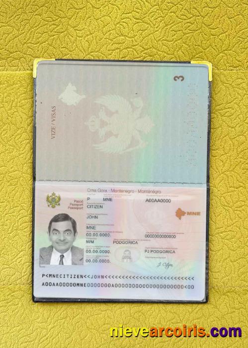 Montenegro passport photolook